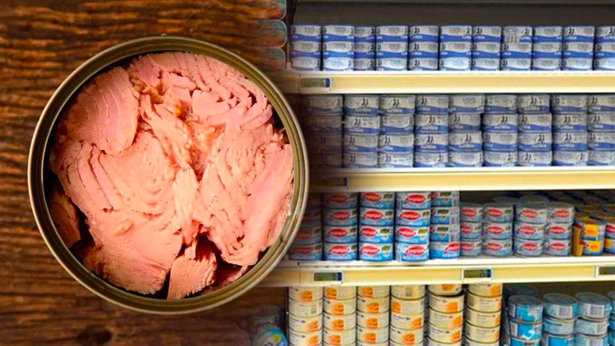 Une enquête révèle ce que contient vraiment le thon en boîte et ça glace le sang, selon 60 Millions de consommateurs