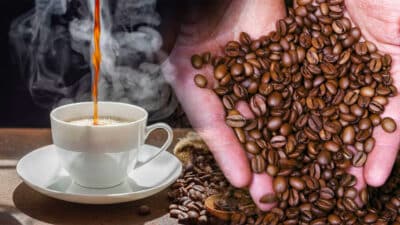 Les 4 types de personnes qui ne doivent surtout pas boire de café selon ce nutritionniste