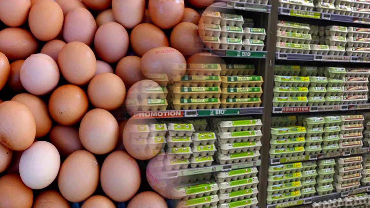 Arnaque sur les œufs : vérifiez bien ce détail avant de les acheter et de faire avoir