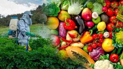 Ces fruits et légumes contaminés par des pesticides sont à éviter à tout prix, la liste dévoilée