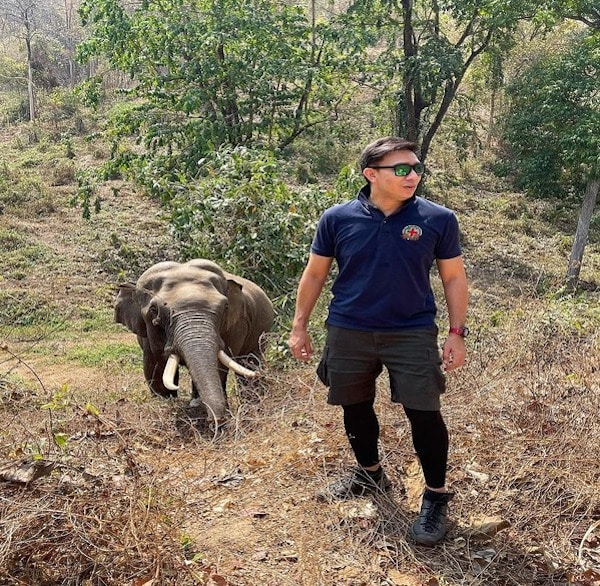 Cet éléphant retrouve le vétérinaire qui lui a sauvé la vie 12 ans avant, sa réaction émouvante