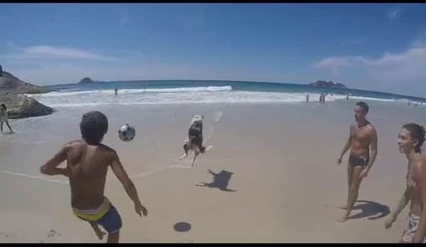Ils jouent au ballon sur la plage, un chien débarque en pleine partie, ils restent tous sans voix