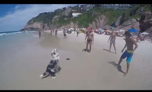 Ils jouent au ballon sur la plage, un chien débarque en pleine partie, ils restent tous sans voix