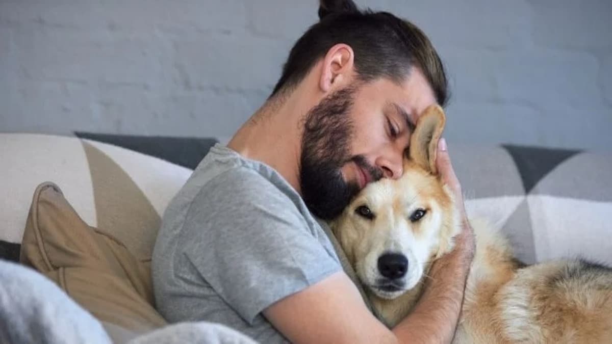 Une étude dévoile ce que comprend réellement votre chien quand vous lui parlez