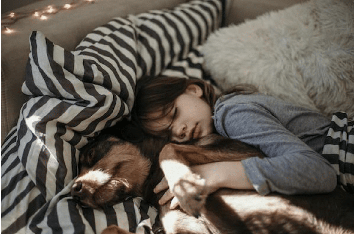 Dormir avec son animal de compagnie, est-ce vraiment une bonne idée ? La réponse des experts