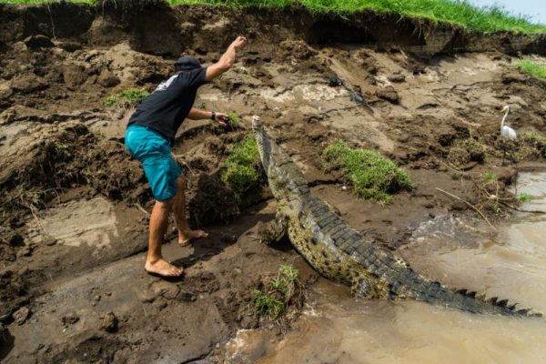 Il pêche, un crocodile surgit et lui demande de l’aide - source : capture Facebook