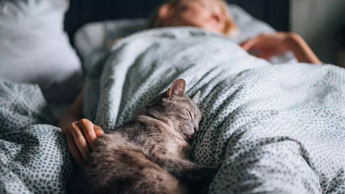 Dormir avec son animal de compagnie, est-ce vraiment une bonne idée ? La réponse des experts