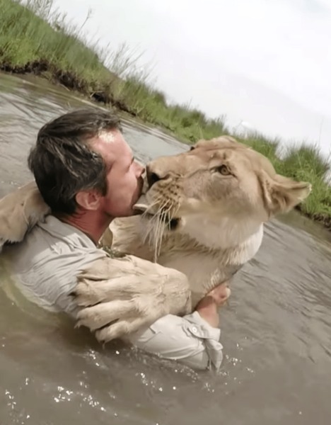 Il a sauvé 2 lionceaux et les rencontre 7 ans plus tard - Capture facebook