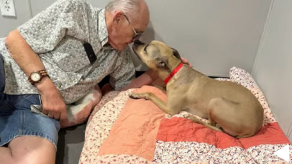Une chienne traumatisée dans un refuge reçoit de la visite, un miracle se produit