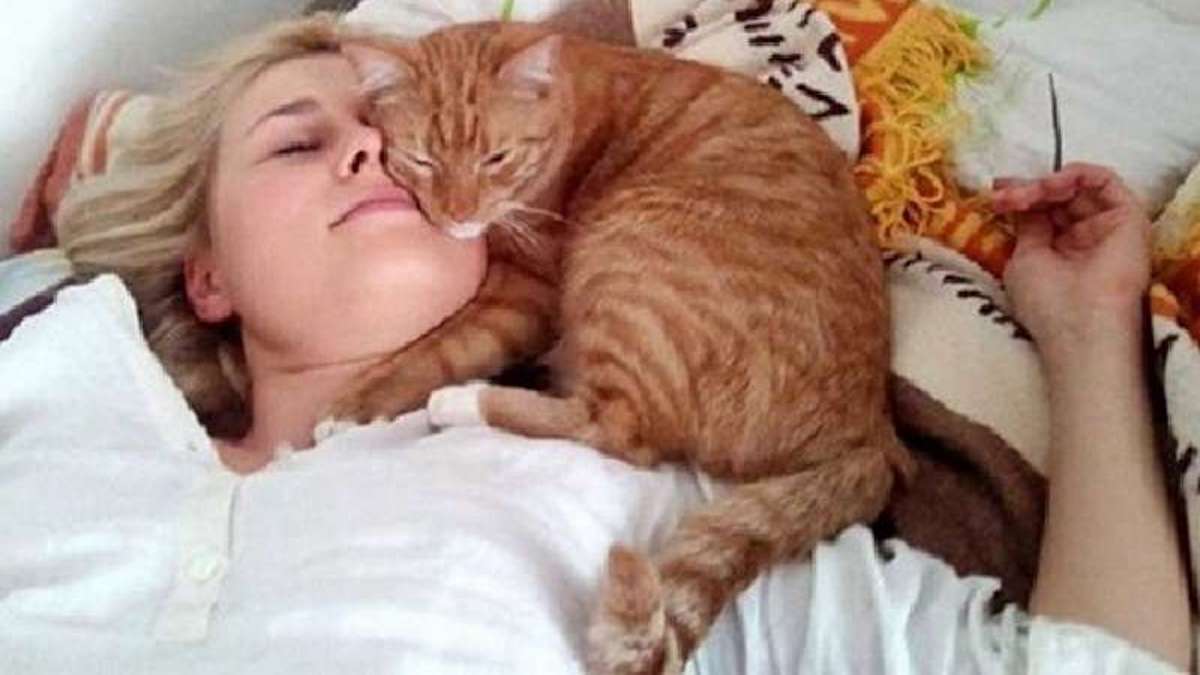Votre chat dort chaque nuit sur vous ? Ce que cela signifie réellement