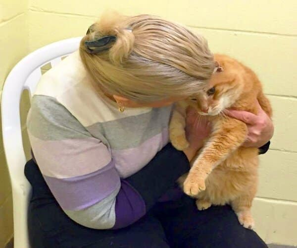 Elle adopte un chat sans se douter qu’elle va devoir revenir au refuge pour son meilleur ami