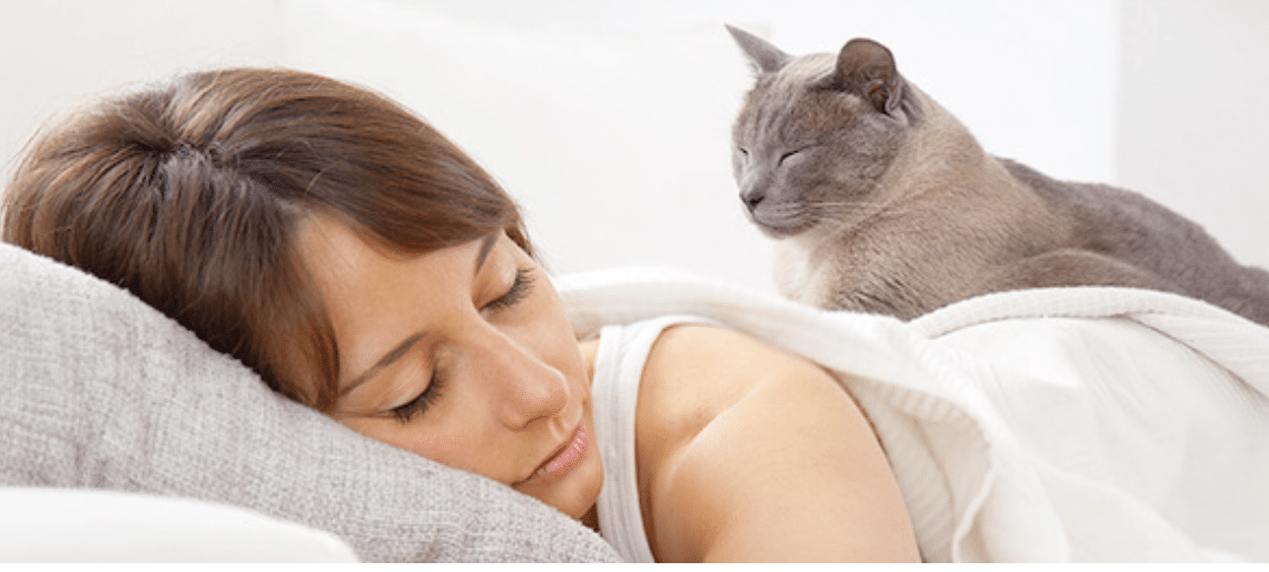 Votre chat dort chaque nuit sur vous ? Ce que cela signifie réellement