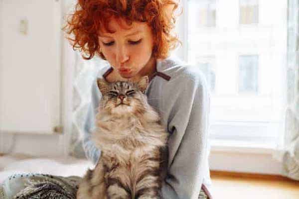Des experts dévoilent combien de temps les chats se souviennent d’une personne