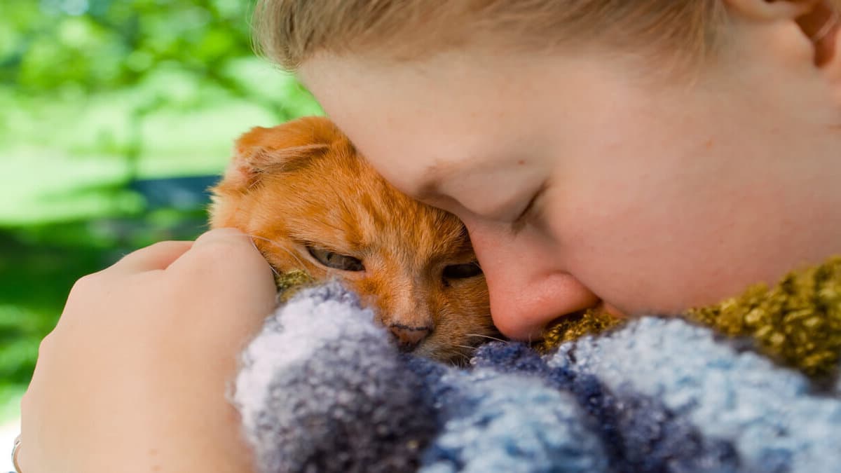 Les chats font-ils leurs adieux à leur propriétaire avant de mourir ? Que font-ils ?