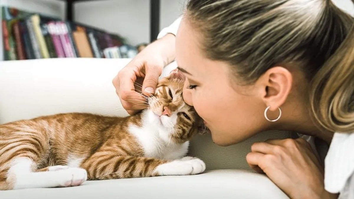 12 façons de dire « Je t'aime » à votre chat