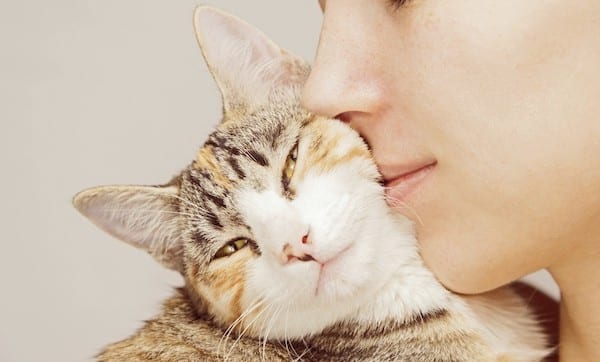 12 façons de dire « Je t'aime » à votre chat