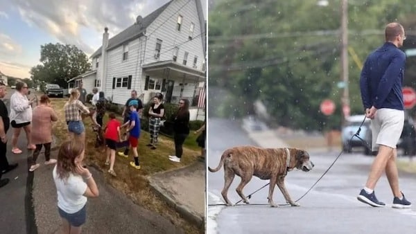 Ce chien en phase terminale reçoit d'émouvants adieux des voisins du quartier
