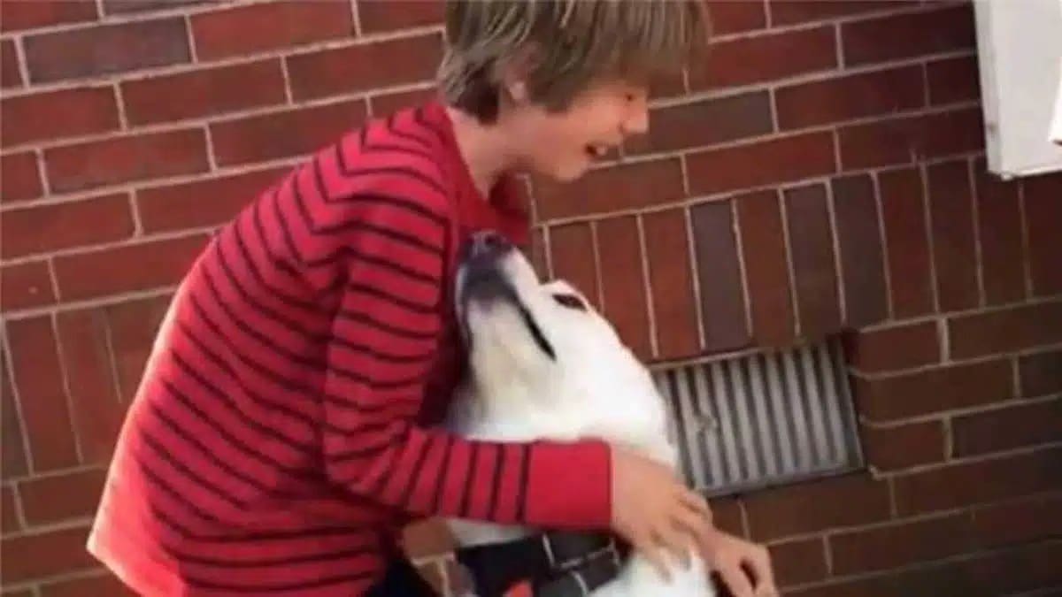Cet enfant retrouve son meilleur ami, il s’écroule quand il voit son chien