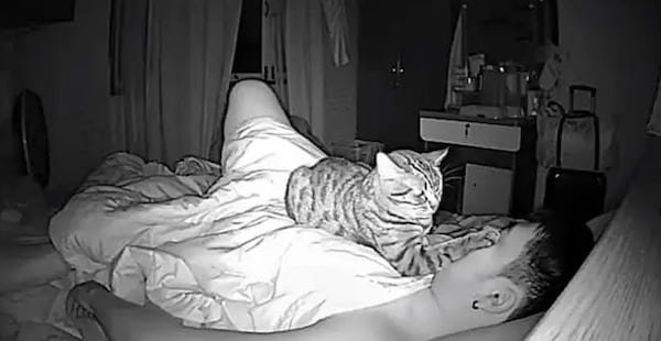 Victime de troubles du sommeil, il fait une découverte sur son chat qui lui glace le sang
