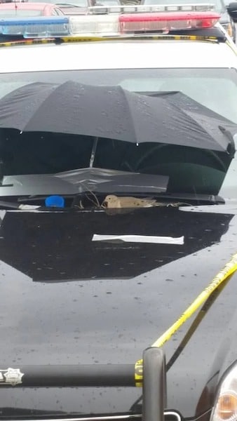 2 policiers découvrent le nid d’un oiseau sur leur véhicule, leur geste sidère tout le monde
