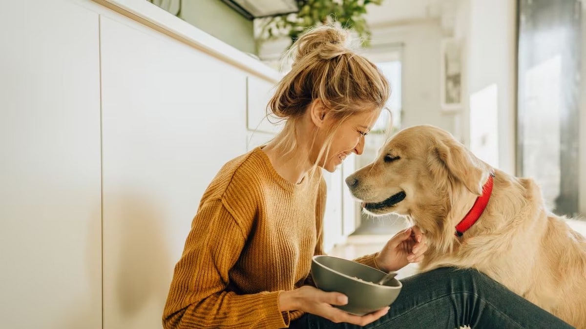 Ce que comprennent réellement les chiens quand vous leur parlez, selon cette étude