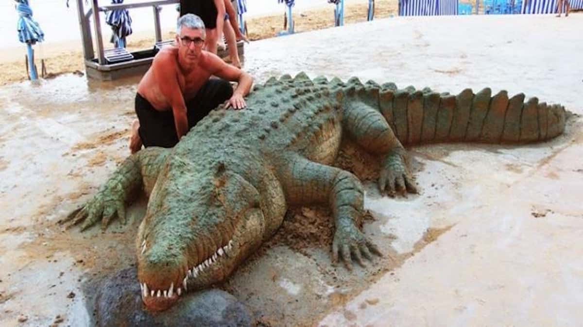 Ces sculptures d’animaux en sable impressionnent tout le monde tellement elles sont réalistes