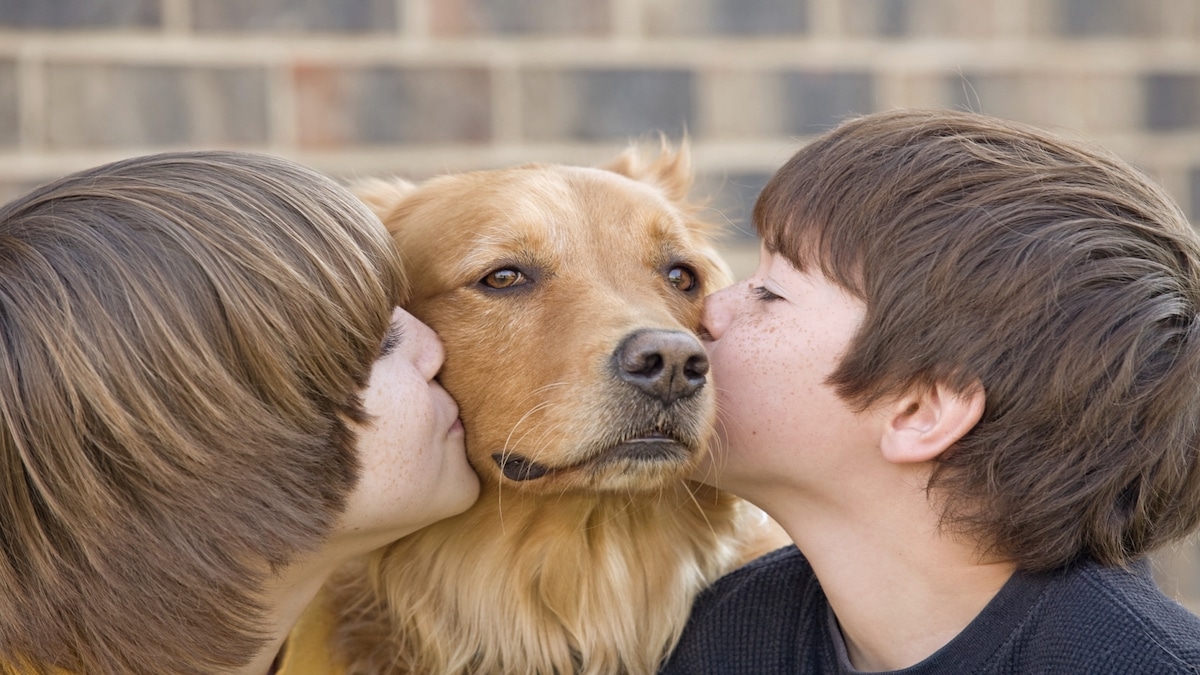 6 raisons d’adopter un animal de compagnie pour votre enfant