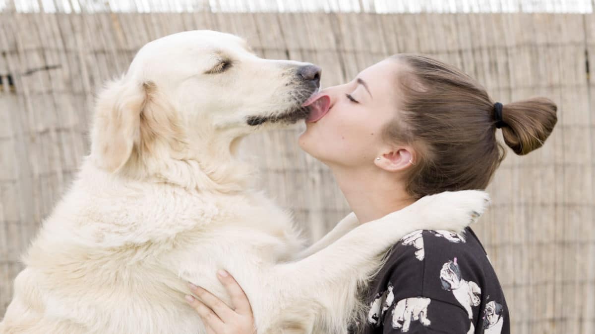 Combien de temps met un chien pour aimer une personne ?