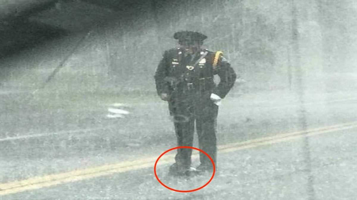 Ils voient un policier sous le déluge en plein milieu de la route et comprennent qu’il protège un animal surprenant