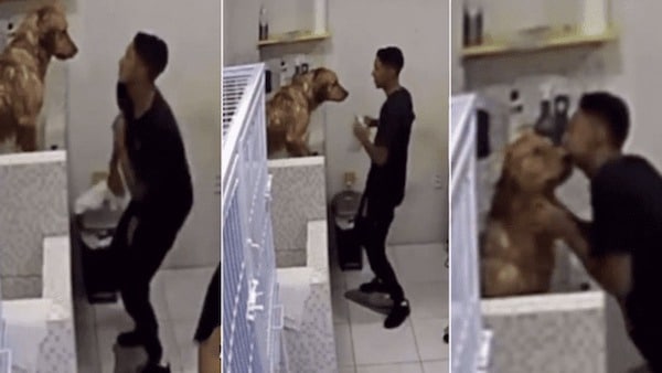 Un salarié d’un salon de toilettage pour chiens est filmé, les maîtres restent sans voix
