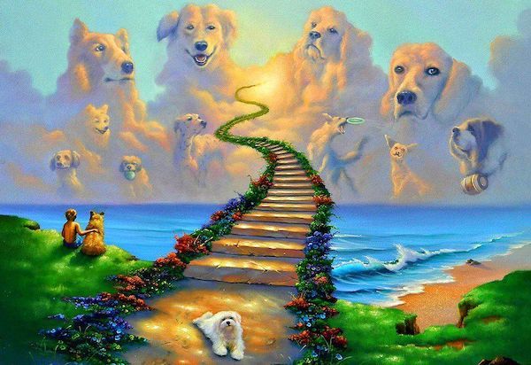 Un magnifique poème à la mémoire de votre chien qui est parti au ciel