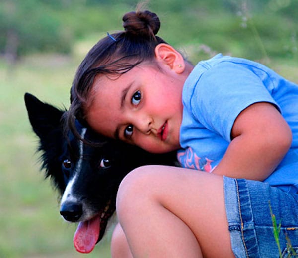 Cette race de chien à ne pas adopter si vous avez des enfants, selon un expert canin