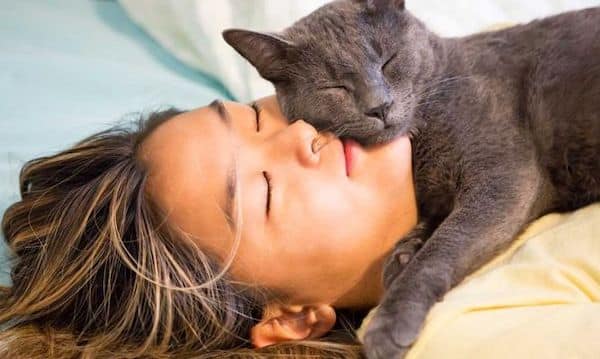 Pourquoi les chats adorent toujours dormir à côté de leur propriétaire ?