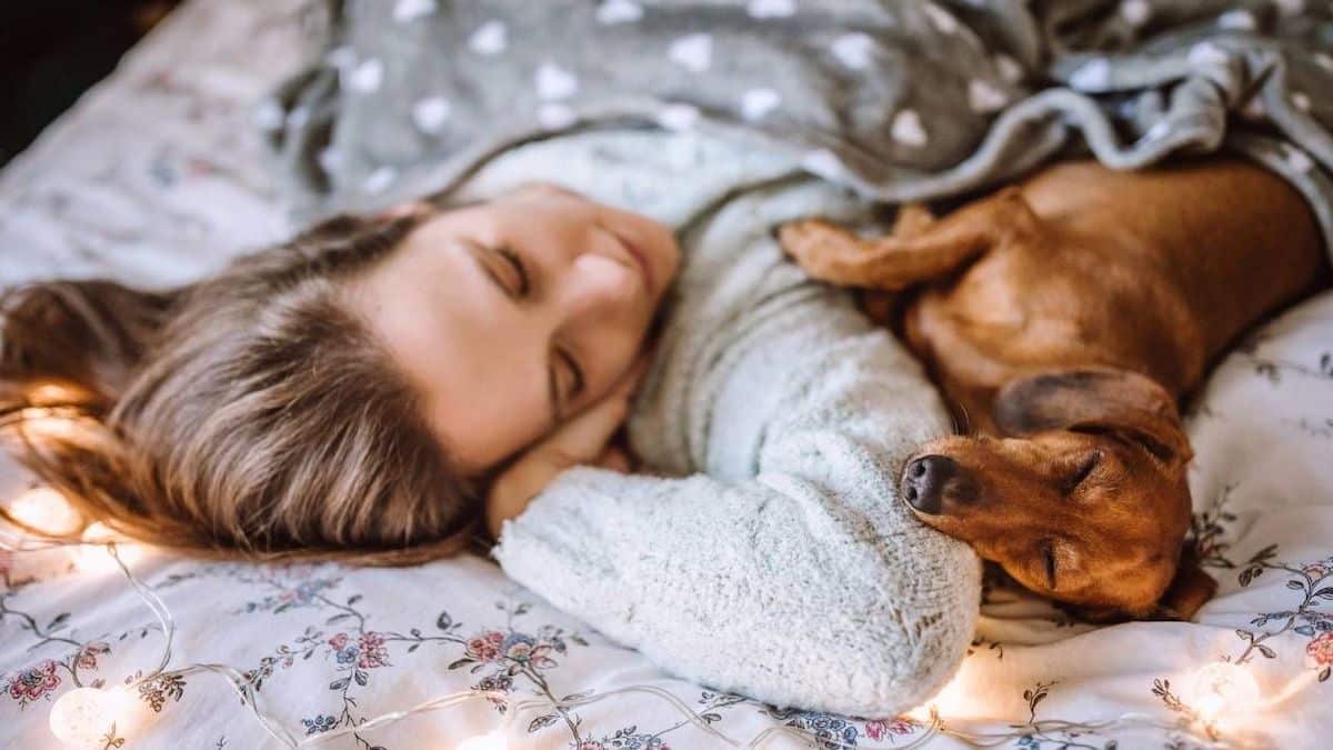 Si vous avez l’habitude dormir avec votre chien, une vétérinaire conseille d’arrêter de suite