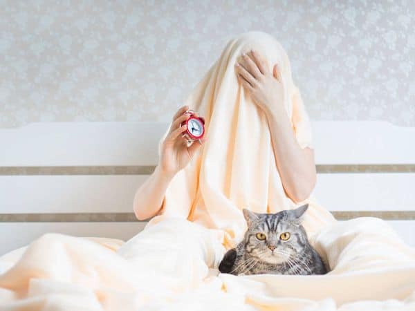 Les astuces infaillibles pour que votre chat ne vous réveille pas la nuit