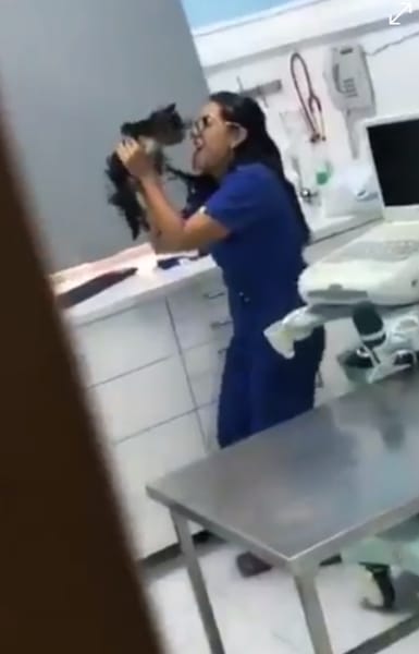 Elle filme à son insu la vétérinaire qui s’occupe de son chien, elle est sidérée par les images