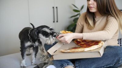 Ces aliments que votre chien ne doit surtout jamais manger, bannissez les