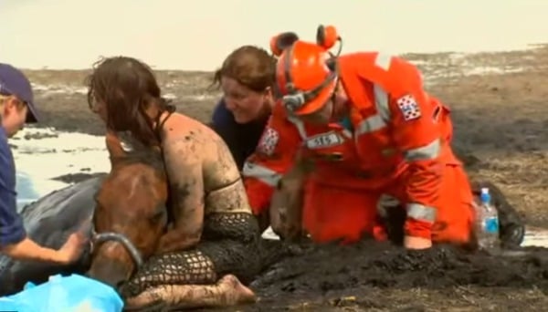Elle se bat durant 3 heures pour sauver la vie de son cheval piégé par la marée, les secours débarquent