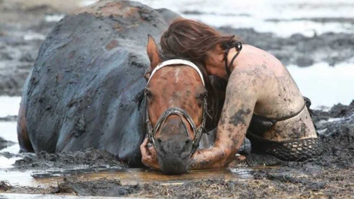Elle se bat durant 3 heures pour sauver la vie de son cheval piégé par la marée, les secours débarquent